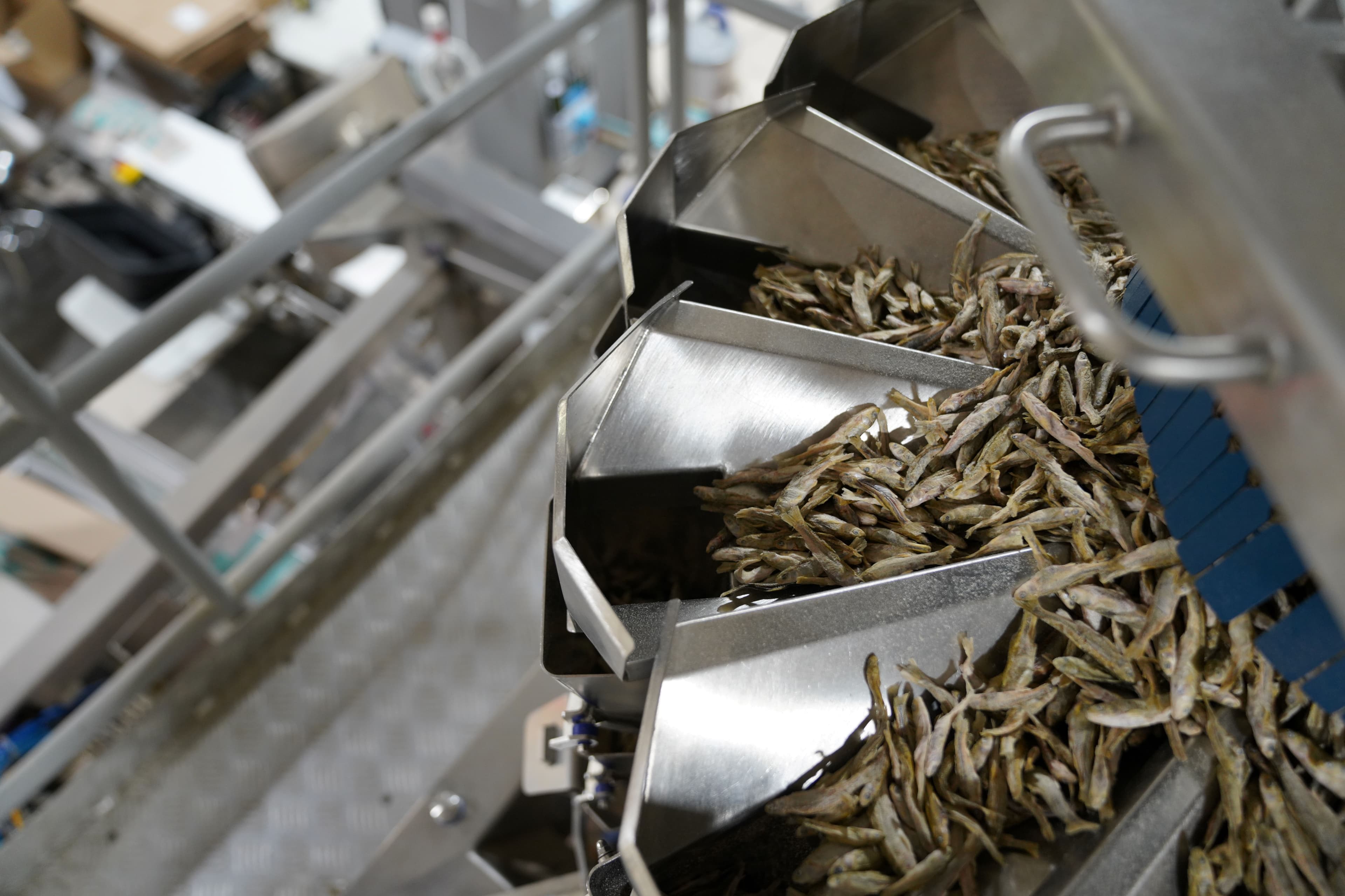 Close-up of a our Freeze-Dried Minnows in production.