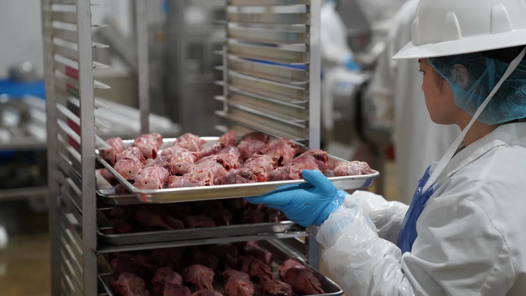 A worker wearing protective gear handles trays of raw meat in a food processing facility.