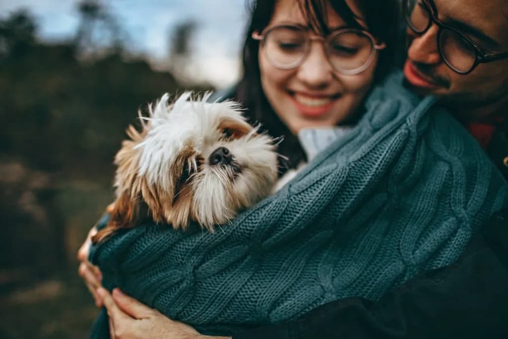 Top Five Natural Remedies For Dog Allergies