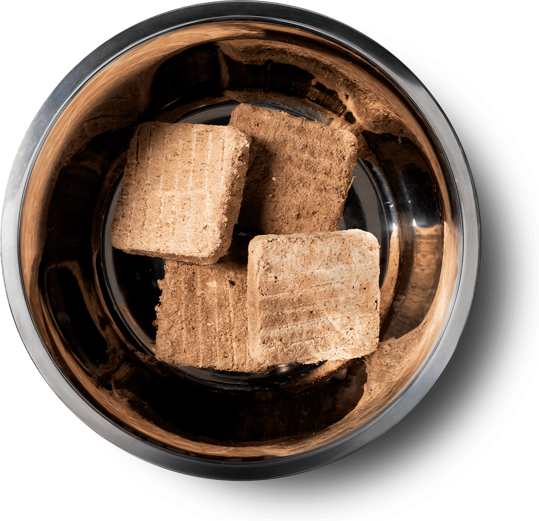 8101 Product Detail Page_Dog_Freeze Dried Entree_Mini Patties_Beef_14 oz_Benefits of Freeze Dried.jpg