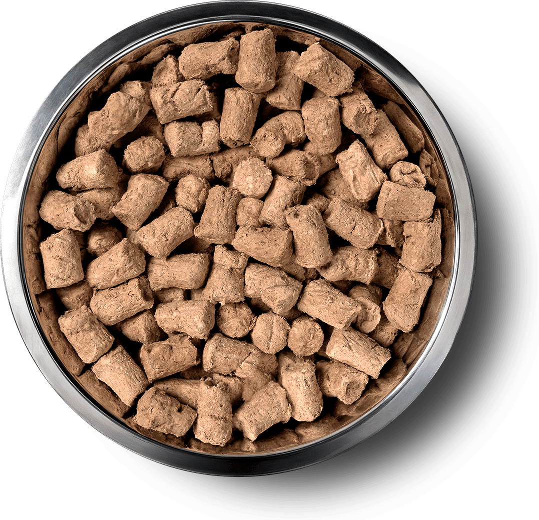 VE_InBowl_SoftNibs_Cat_BeefChicken.png