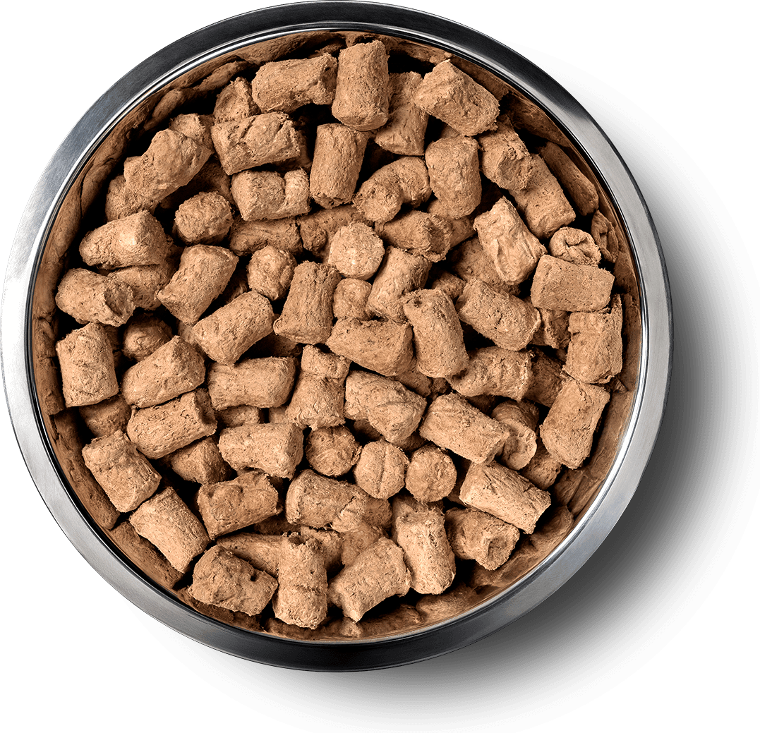 VE_InBowl_SoftNibs_Dog_LambWhitefish.png