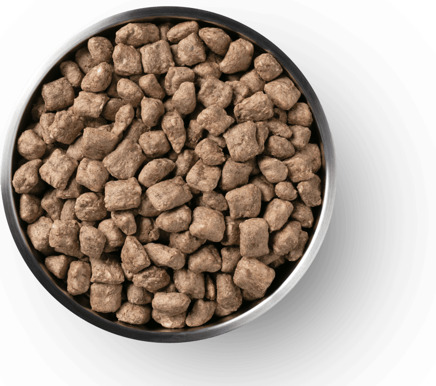 8001 Product Detail Page_Dog_Freeze Dried Entree_Nibs_Chicken_14 oz_Benefits of Freeze Dried.jpg