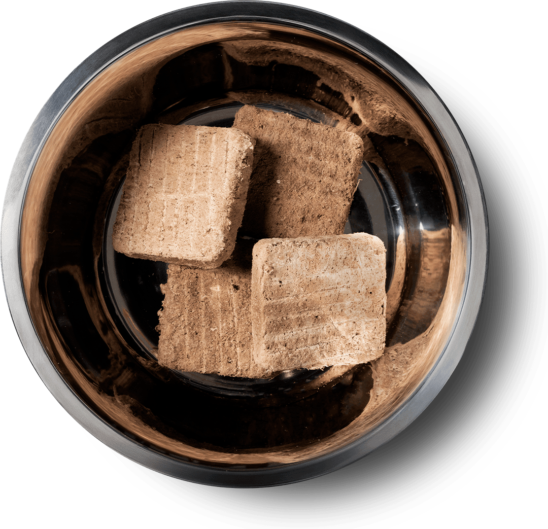 Product Detail Page_Dog_Freeze Dried Entree_Mini Pork_Benefits of Freeze Dried.jpg